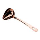 Colher Para Molho De Aço Inox 1,8x8,4x22cm 1un Allonsy