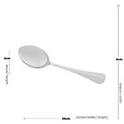 Colher Para Servir Aço Inox Positano Prata 26cm