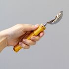 Colher Para Sorvete Cabo Plástico Bambu