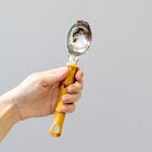 Colher Para Sorvete Cabo Plástico Bambu