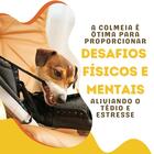Colmeia Brinquedo Recheável Buddy Toys Para Cães - M
