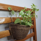 Combo 12 Meio Vasos De Parede De Fibra De Coco Nº10 Plantas