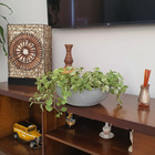 Combo 4 Vasos Bacia P/ Rosa Do Deserto 32cm Cuia Cinza