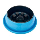 Comedouro Coma Melhor 5 X 1 Médio Azul