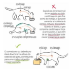 Comedouro Duplo Elevado Para Gatos Acrílico