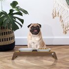 Comedouro Duplo Para Pet Berlim Amarelo