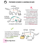 Comedouro E Bebedouro Dorothy Pequeno Co15 Vinci Móveis