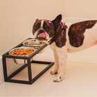 Comedouro E Bebedouro Dorothy Pequeno Co15 Vinci Móveis