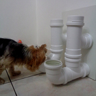 Comedouro E Bebedouro Pet Dispenser Para Ração Cães E Gatos B