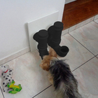 Comedouro E Bebedouro Pet Dispenser Para Ração Cães E Gatos P