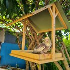 Comedouro Livre Birds EXO1 Para Pássaros Livres - Verde