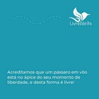 Comedouro Livre Birds PV1 Para Pássaros Livres - Vermelho