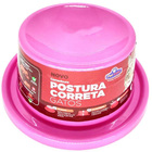 Comedouro Para Gatos Elevado Postura Correta Anti-formiga Pet