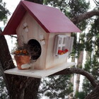 Comedouro Pássaros Telhado Vermelho