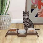 Comedouro Triplo Para Pet