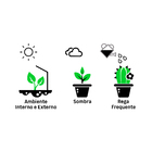 Comigo-Ninguém-Pode Pote 15