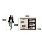 Cômoda 2 Portas 5 Gavetas Luanda Novo Horizonte Cacau Fendi