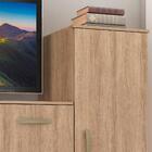 Comoda 2 Portas Com Cabideiro Co170 Fell