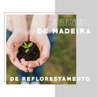 Cômoda 4 Gavetas 565 Branca Carraro