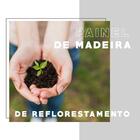 Cômoda 4 Gavetas Madeirada