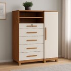 Cômoda Com Sapateira E Cabideiro Multiuso 5 Gavetas 1 Porta I