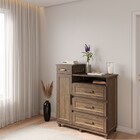 Cômoda Mato Grosso 1 Portas 3 Gavetas Com Espelho Imbuia Natu