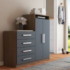 Cômoda Paris 2 Portas 4 Gavetas Carvalho/cinza - Panorama Móv