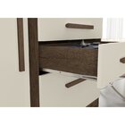 Cômoda Sapateira 1 Porta 4 Gavetas Luna Ébano/off White