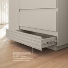 Cômoda Sapateira 1 Porta 4 Gavetas Samambaia Cabecasa Madeira