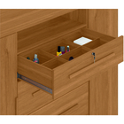 Cômoda Sapateira Com Chave 4 Gavetas 2 Portas Versátil Zanzini