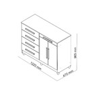 Cômoda Sapateira Sirius Vila Rica