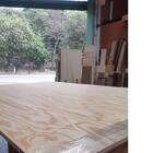 Compensado Naval Pinus 10mm