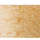 Compensado Pinus Naval 18mm