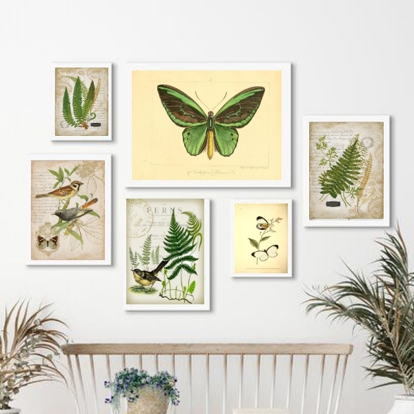 Composição 6 Quadros Botânica - Animais E Plantas Verdes Mold