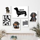 Composição 6 Quadros Cachorro Dachshund - Salsicha - Com Vidr