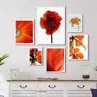 Composição 6 Quadros Decorativos Alaranjados- Flores Moldura: