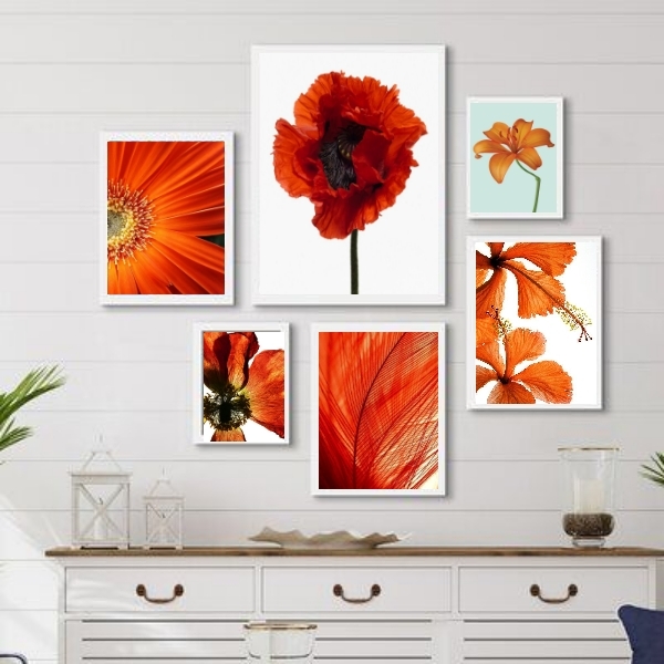 Composição 6 Quadros Decorativos Alaranjados- Flores Moldura:
