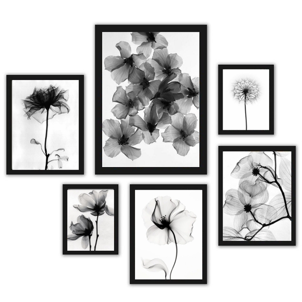 Composição 6 Quadros Flores Transparentes Preto E Branco Mold