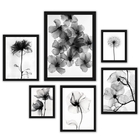 Composição 6 Quadros Flores Transparentes Preto E Branco Mold