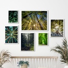 Composição 6 Quadros Fotografias Árvores Natureza Moldura:mad