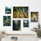 Composição 6 Quadros Fotografias Árvores Paisagens - Com Vidr