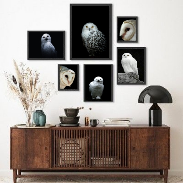 Composição 6 Quadros Fotografias Corujas Brancas Moldura:made
