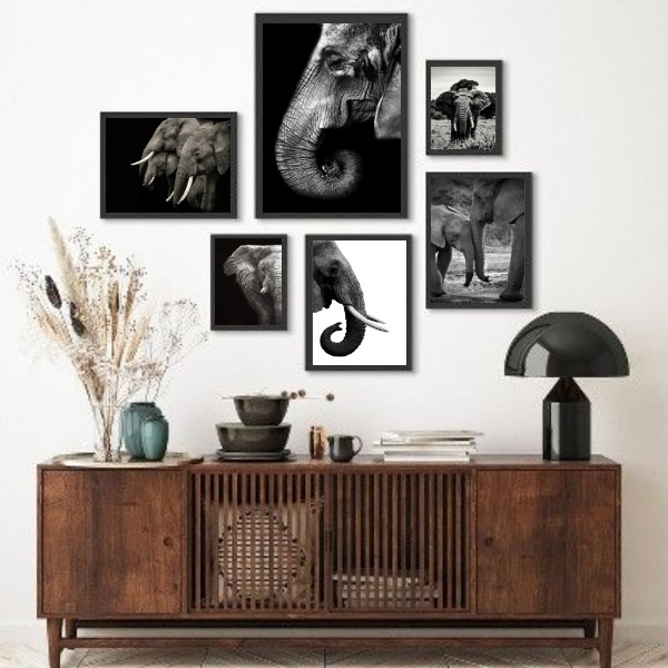 Composição 6 Quadros Fotografias Elefantes - Com Vidro Moldur