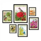 Composição 6 Quadros Passarinhos Com Flores - Com Vidro Moldu