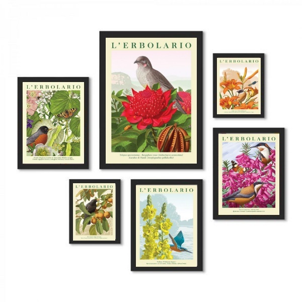 Composição 6 Quadros Passarinhos Com Flores - Com Vidro Moldu