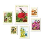 Composição 6 Quadros Passarinhos Com Flores - Com Vidro Moldu