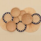 Composição De Parede Agapanto