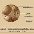 Composição De Parede Angra