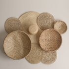 Composição De Parede Mucajaí