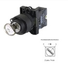 Comutador 2 Posições Fixas 1na Com Chave